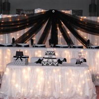 Bridal Show 
Shows Backdrop #2 and Organza Table Skirting