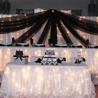 Bridal Show 
Shows Backdrop #2 and Organza Table Skirting