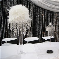 Bridal Show 
Feather Ball Centerpiece and Beaded Crystal Curtain