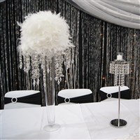 Bridal Show 
Feather Ball Centerpiece and Beaded Crystal Curtain